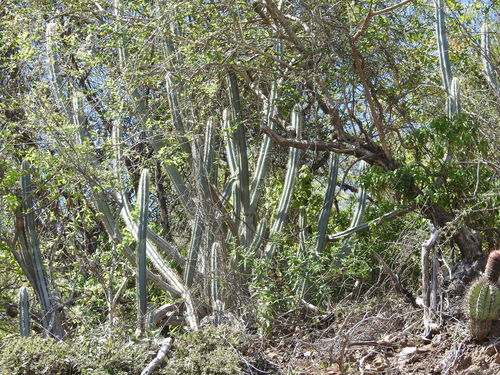 Sierra de Mota