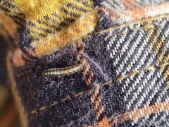 Batrachedra praeangusta