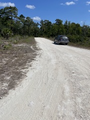 Uniomerus carolinianus