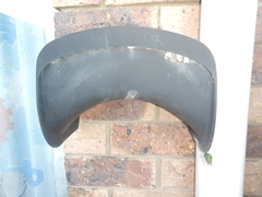 Papilio fuscus capaneus