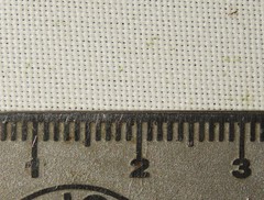 Oncopeltus sandarachatus