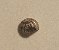 Zonitidae