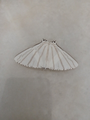 Urapteroides astheniata