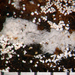 Subulicystidium longisporum - Photo (c) Jerry Cooper, algunos derechos reservados (CC BY), subido por Jerry Cooper