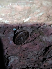 Macularia saintivesi