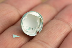 Phoenicurus phoenicurus