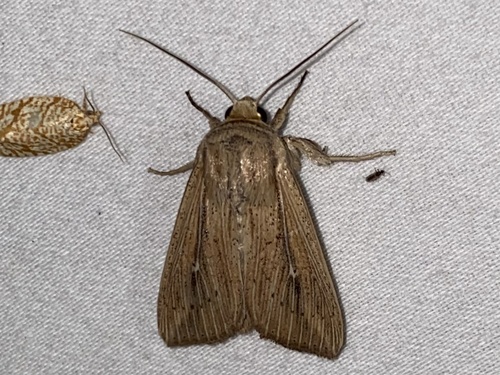 Linda's Wainscot photo 4