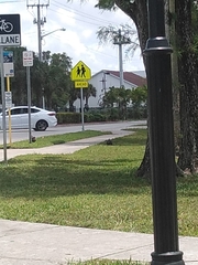 Cairina moschata domestica