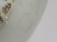 Alatina alata