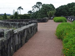 Carduelis carduelis britannica