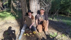 Butyriboletus primiregius