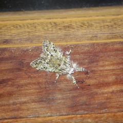 Mpanjaka