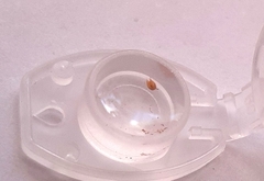 Oligostraca