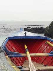 Cinclodes nigrofumosus