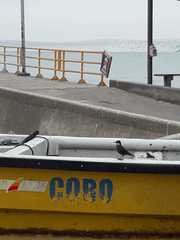 Cinclodes nigrofumosus