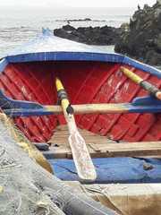 Cinclodes nigrofumosus