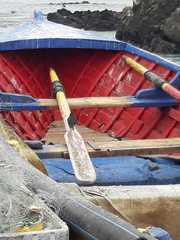 Cinclodes nigrofumosus