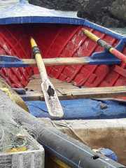 Cinclodes nigrofumosus