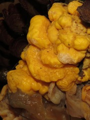 Tremella
