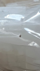 Dermanyssus gallinae