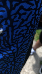 Yponomeuta multipunctella