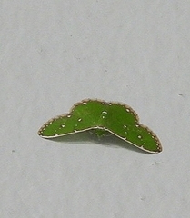 Argyrocosma inductaria