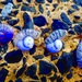 photo of Violet Sea Snail (Janthina janthina)