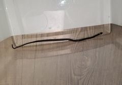 Enulius flavitorques