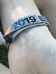 Phyllobius virideaeris