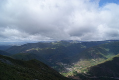 Quercus orocantabrica