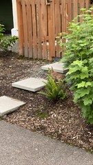 Sylvilagus floridanus