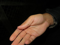 Brachyolus punctatus