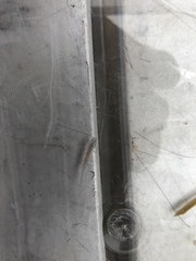 Eurycea waterlooensis