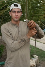 Cyclura nubila