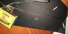 Oxalis imbricata