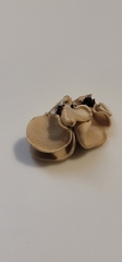 Panellus pusillus