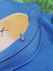 Evacanthus nigramericanus