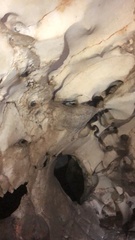 Chilabothrus striatus