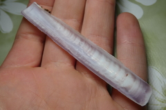 Ensis minor