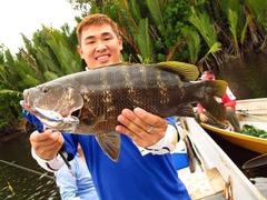 Papuan Black Snapper photo 1