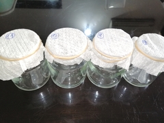 Euprosterna sapucaya