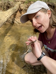 Nerodia sipedon pleuralis