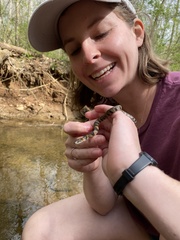 Nerodia sipedon pleuralis