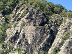 Hemerocallidoideae