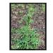 photo of Bull Thistle (Cirsium vulgare)