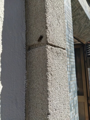 Tabanini