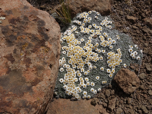 Summit Everlasting photographed in Lesotho