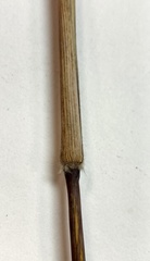 Dichanthelium mattamuskeetense