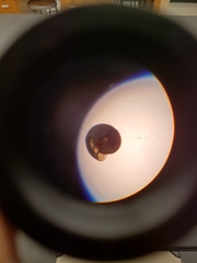 Striatura milium