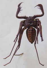 Phrynus pseudoparvulus